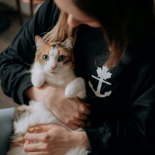 A woman in a black shirt holds a cat